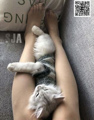 野蛮谷处女