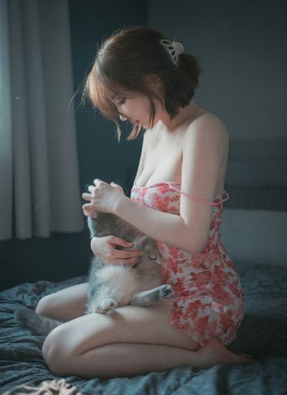 拜托小姐第二季免费观看