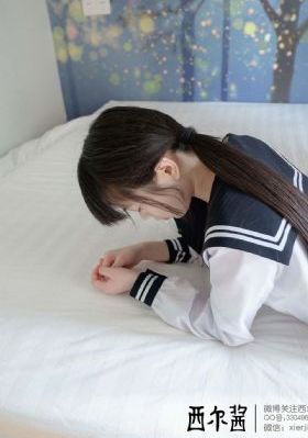 共同警备区在线观看